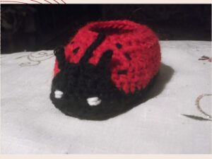 Ladybug Baby Booties Crochet Pattern | 4 Sizes 0-12 Months | Easy Photo Tutorial